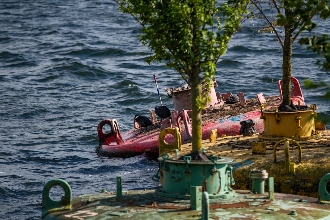 Sustainable Journeys-Eco-Friendly Travel for the Conscious Explorer